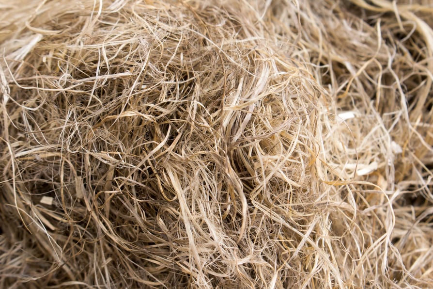 Hemp fiber, raw material for hemp products.